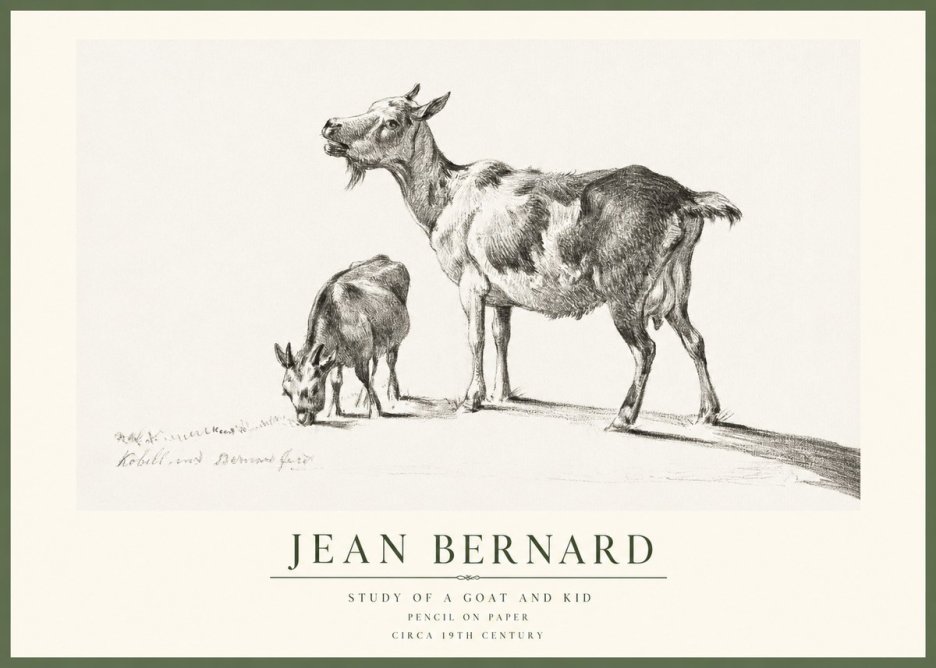 Jean Bernard Study of a Goat and Kid No1 - Affiche