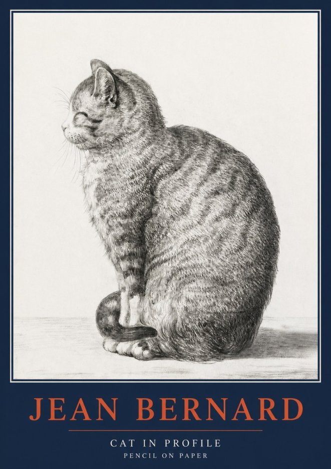 Jean Bernard Cat in Profile No2 - Affiche