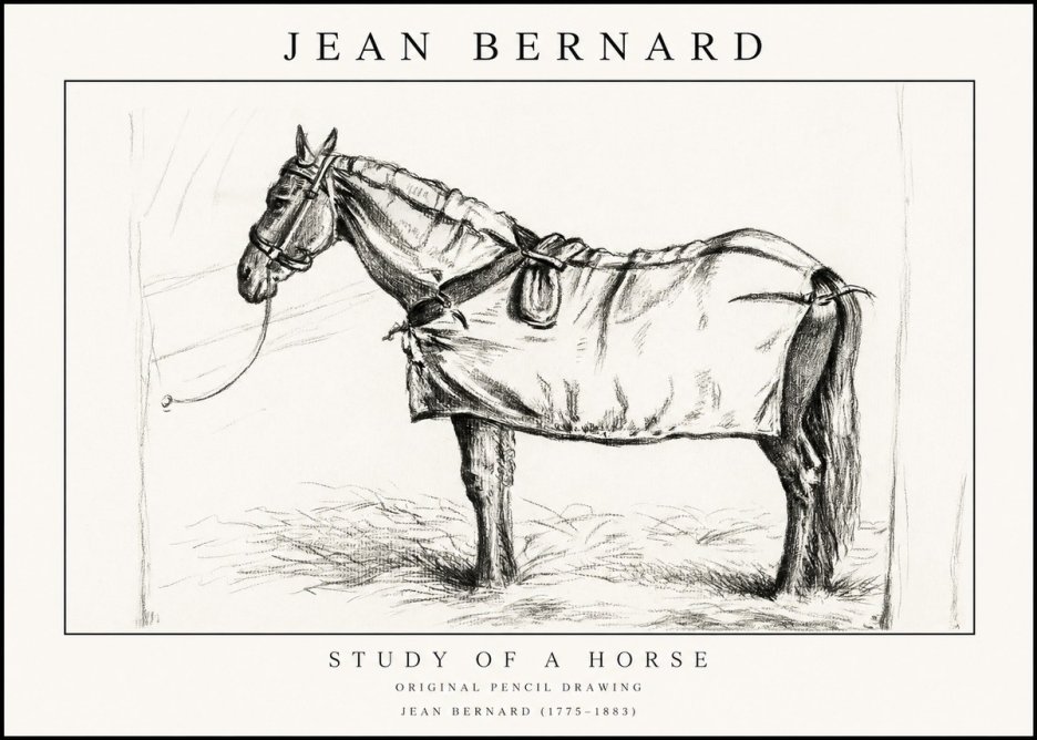 Jean Bernard Study of a Horse XI No1 - Affiche