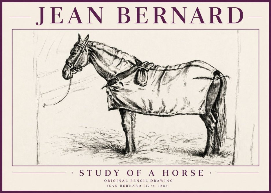 Jean Bernard Study of a Horse XI No4 - Affiche