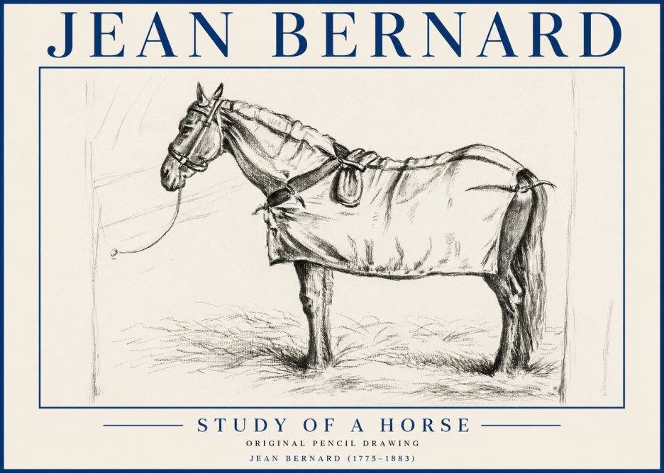 Jean Bernard Study of a Horse XI No5 - Affiche