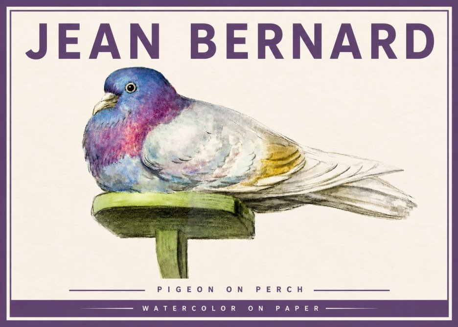 Jean Bernard Pigeon on Perch No4 - Affiche