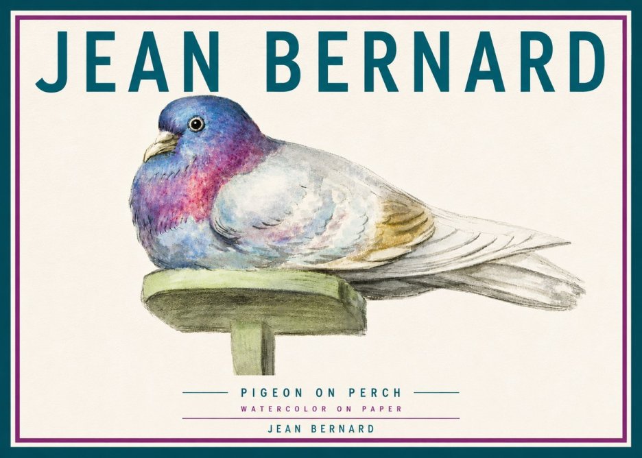 Jean Bernard Pigeon on Perch No6 - Affiche
