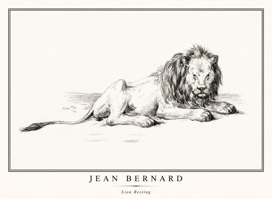 Jean Bernard Lion Resting No1 - Affiche