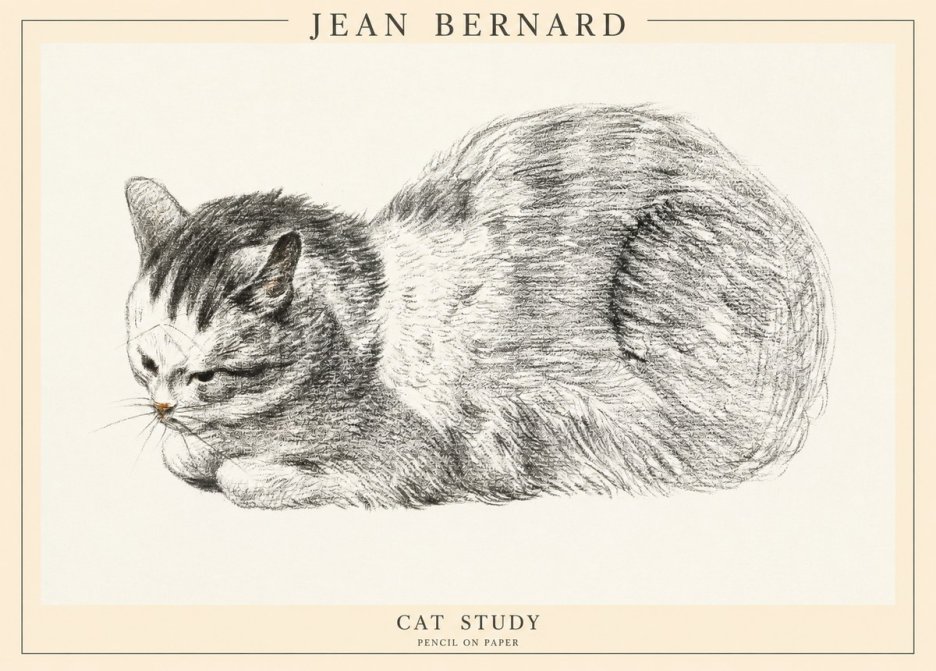 Jean Bernard Cat Study X No1 - Affiche