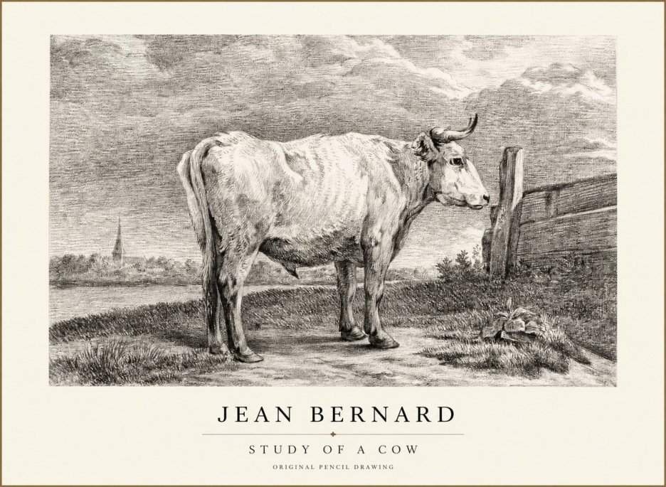 Jean Bernard Study of a Cow XV No1 - Affiche
