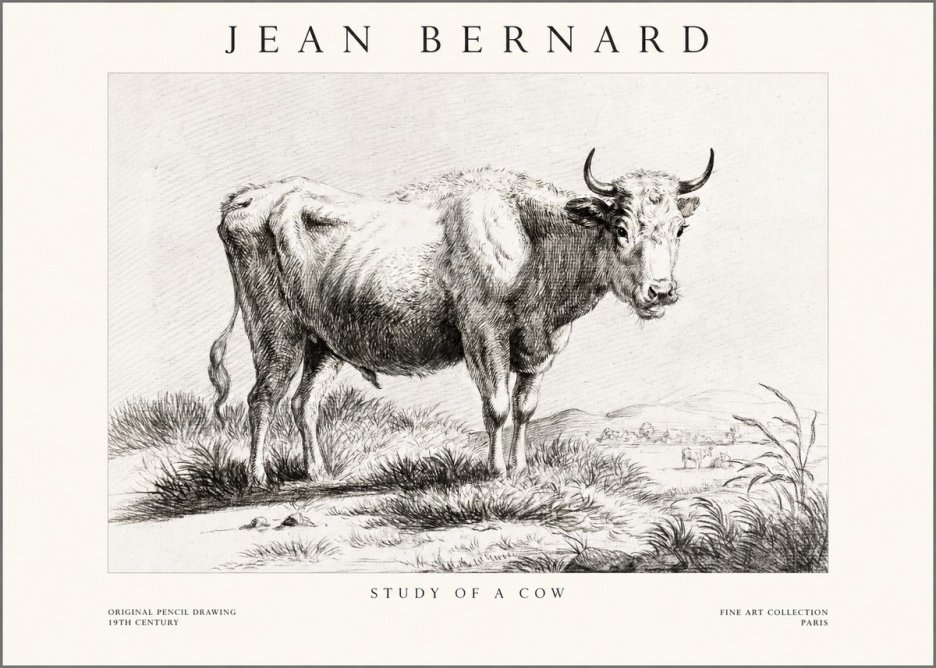 Jean Bernard Study of a Cow XVI No1 - Affiche