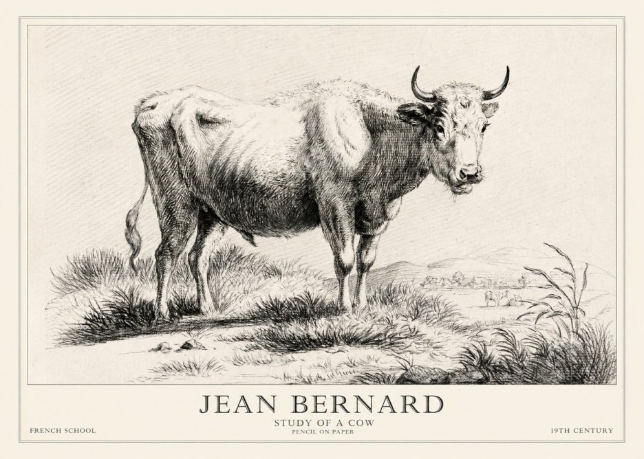 Jean Bernard Study of a Cow XVI No2 - Affiche