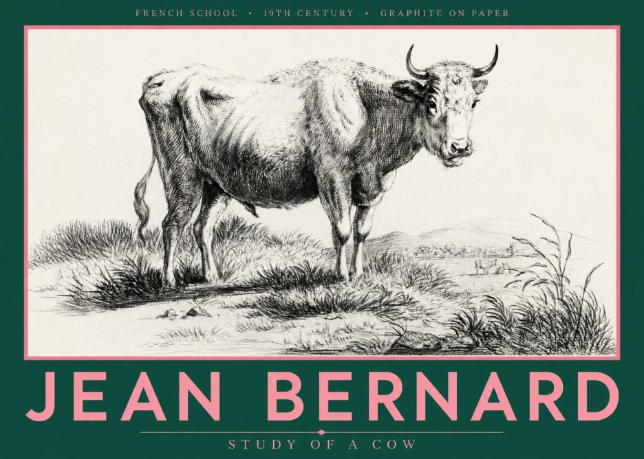 Jean Bernard Study of a Cow XVI No5 - Affiche
