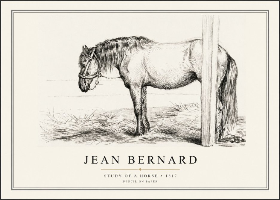 Jean Bernard Study of a Horse XII No1 - Affiche
