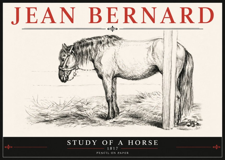 Jean Bernard Study of a Horse XII No6 - Affiche