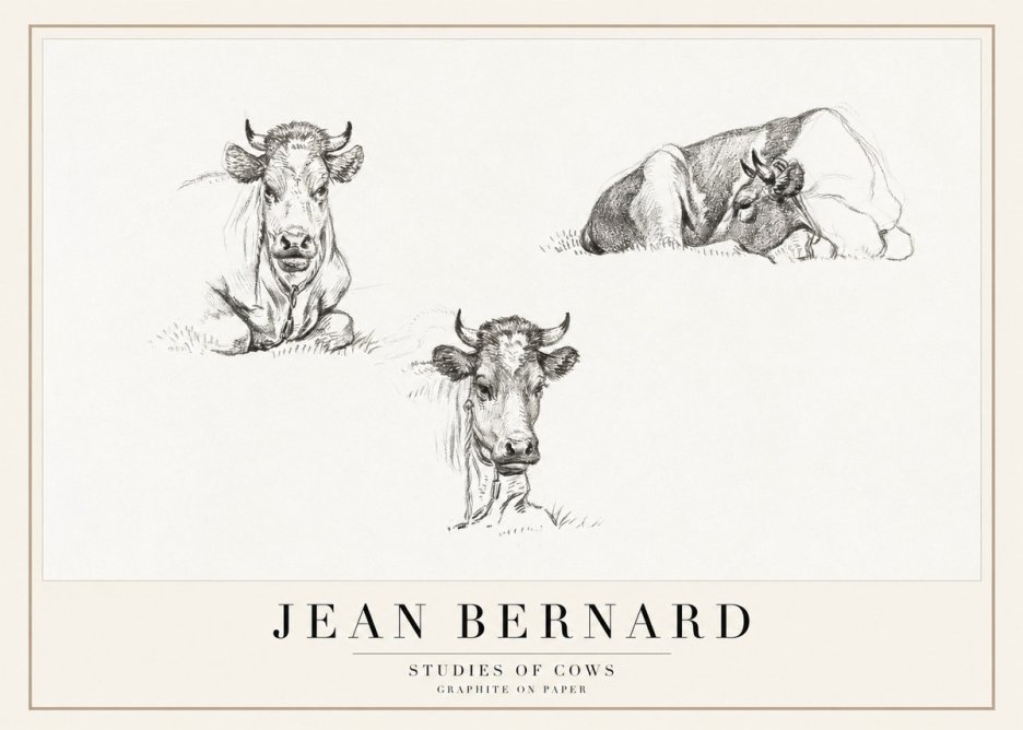 Jean Bernard Studies of Cows II No1 - Affiche