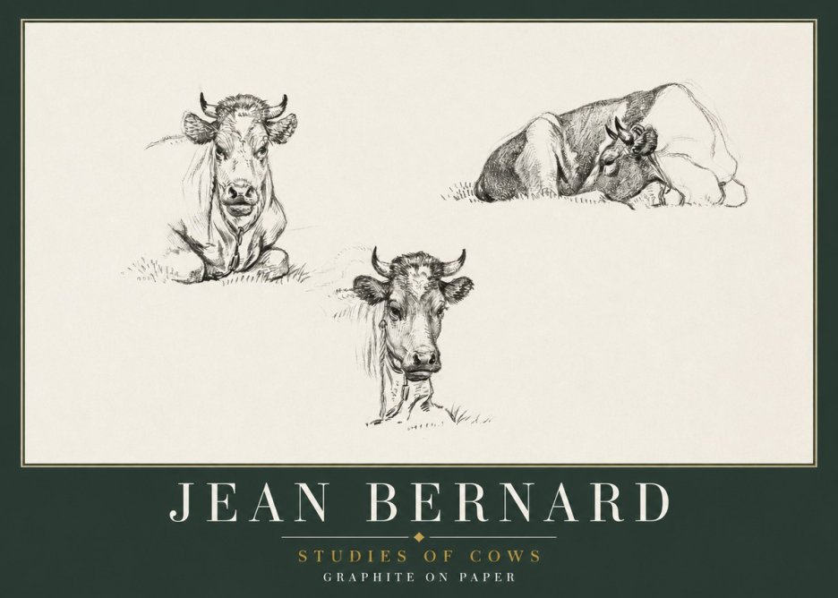 Jean Bernard Studies of Cows II No2 - Affiche