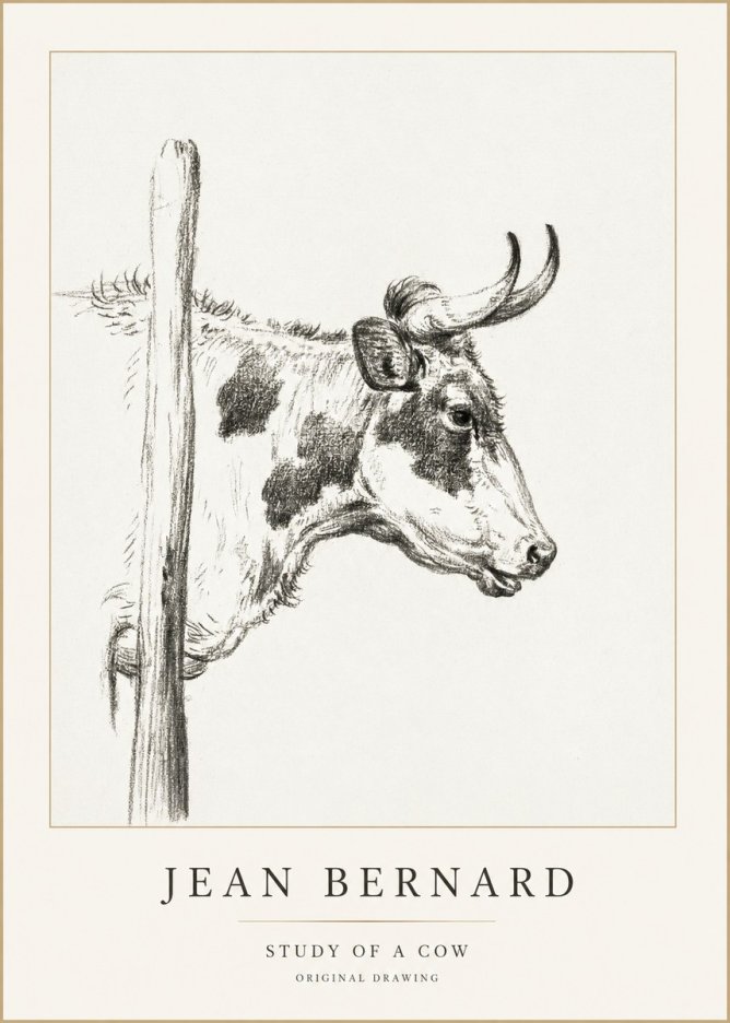 Jean Bernard Study of a Cow XVII No1 - Affiche