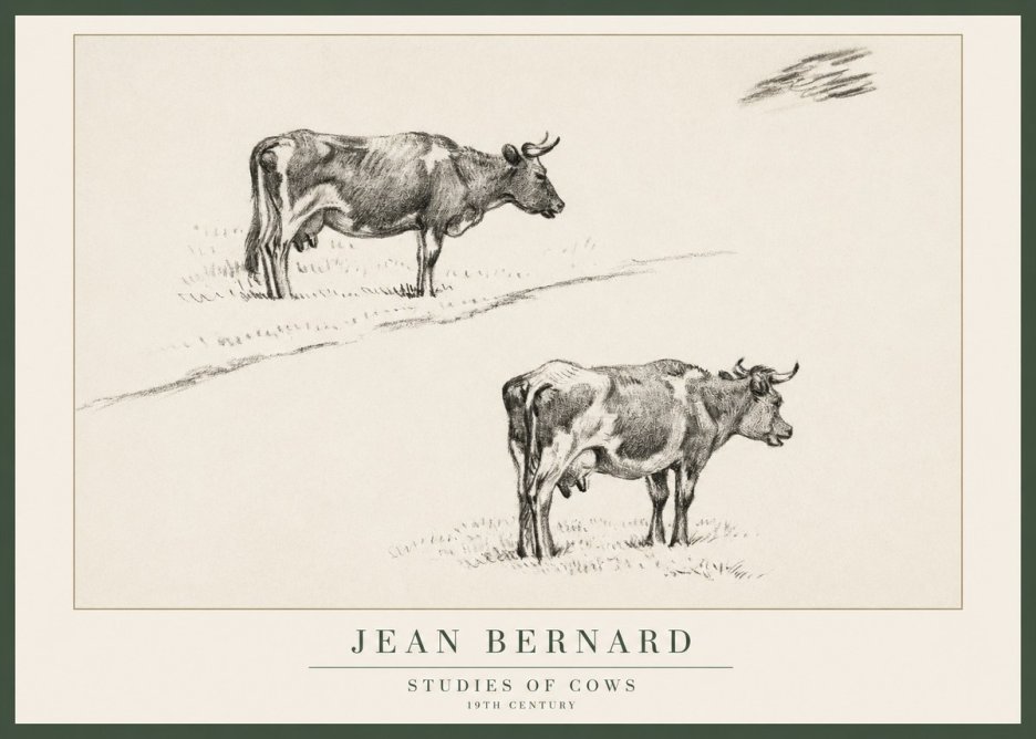 Jean Bernard Studies of Cows III No1 - Affiche