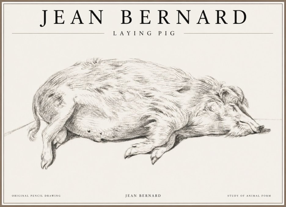 Jean Bernard Laying Pig No1 - Affiche