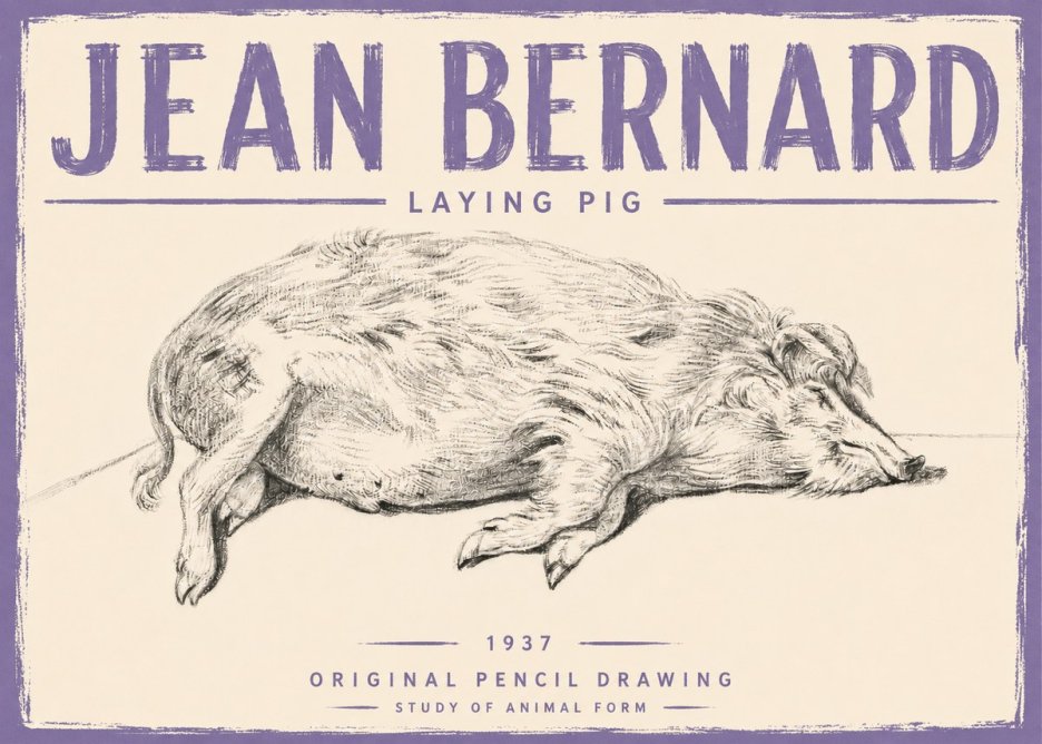Jean Bernard Laying Pig No5 - Affiche