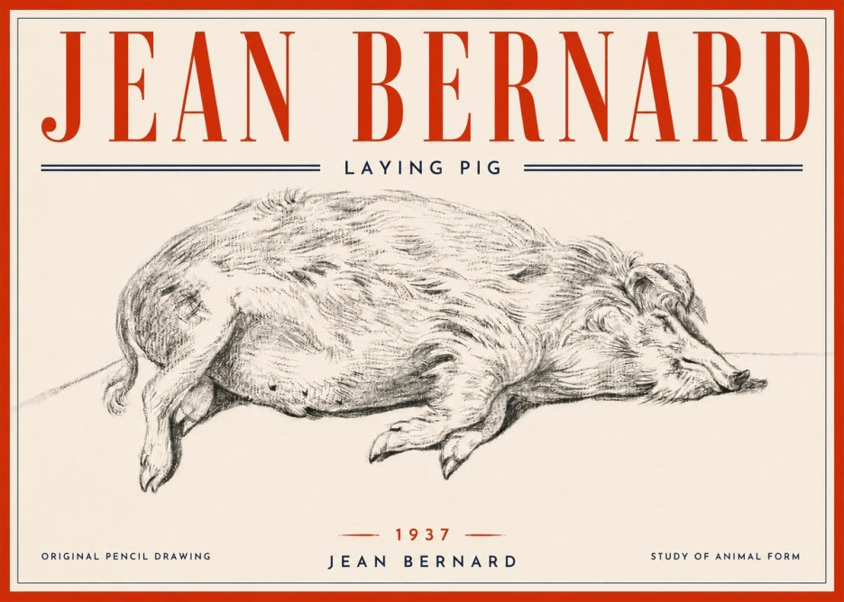 Jean Bernard Laying Pig No6 - Affiche