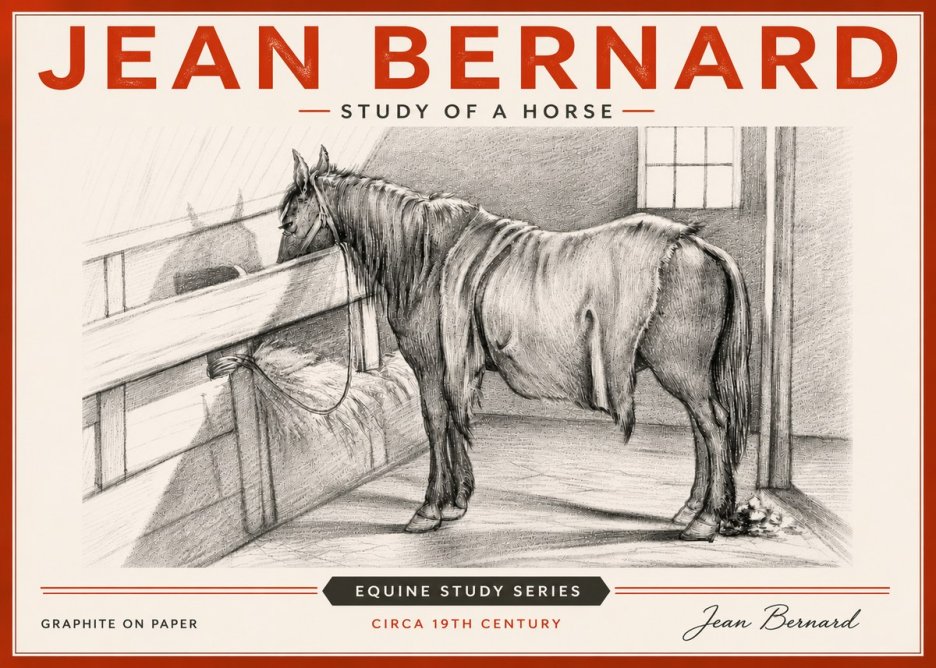 Jean Bernard Study of a Horse XIII No6 - Affiche