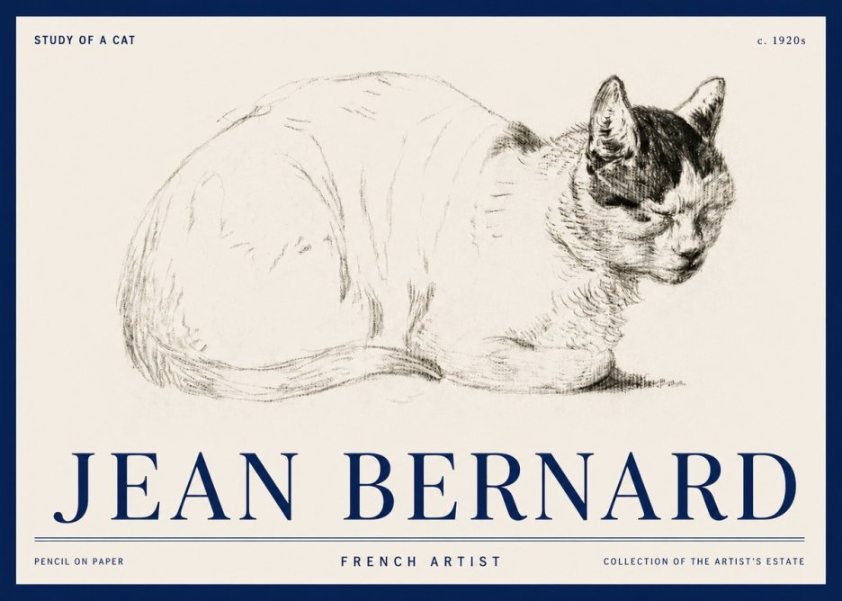 Jean Bernard Study of a Cat III No3 - Affiche