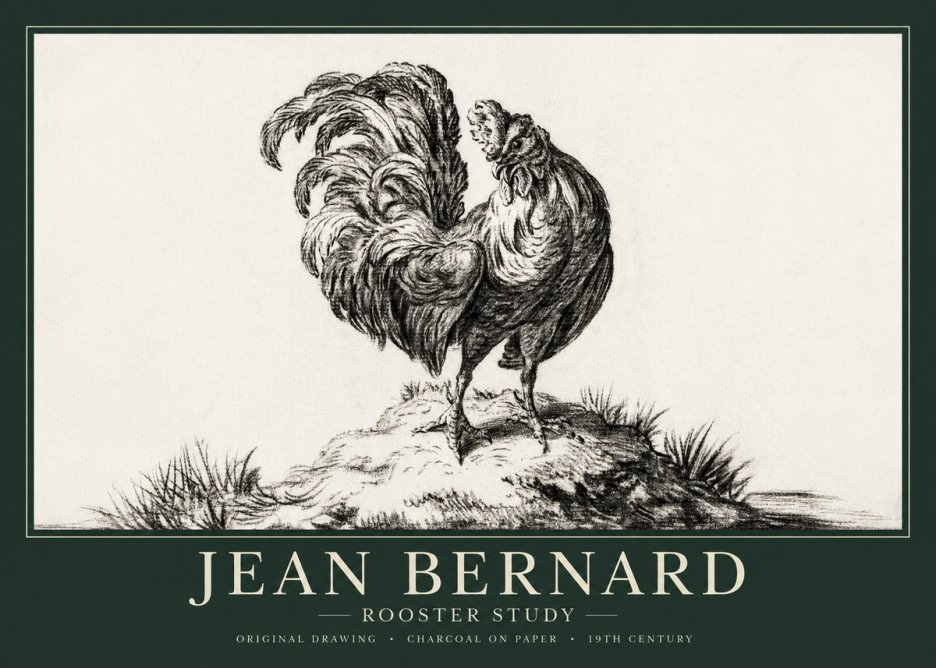 Jean Bernard Study of a Rooster No2 - Affiche
