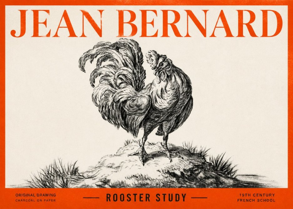 Jean Bernard Study of a Rooster No3 - Affiche