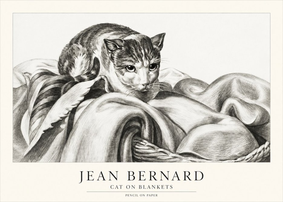 Jean Bernard Cat on a Blanket No2 - Affiche