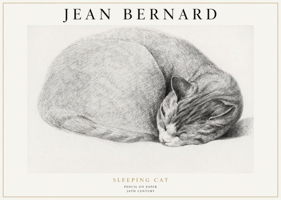Jean Bernard Sleeping Cat IX No1 - Affiche