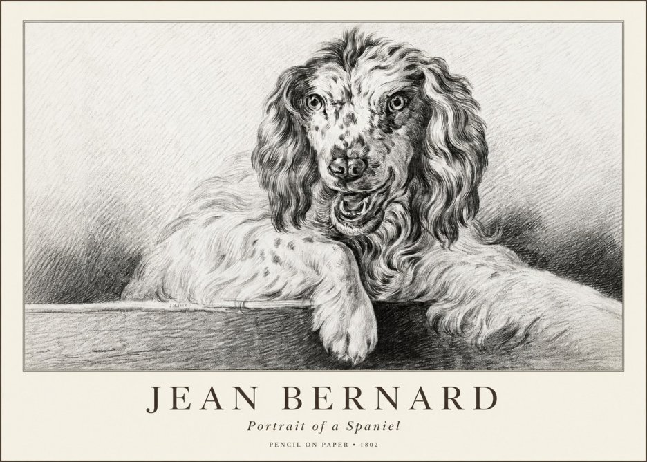 Jean Bernard Portrait of a Spaniel No1 - Affiche