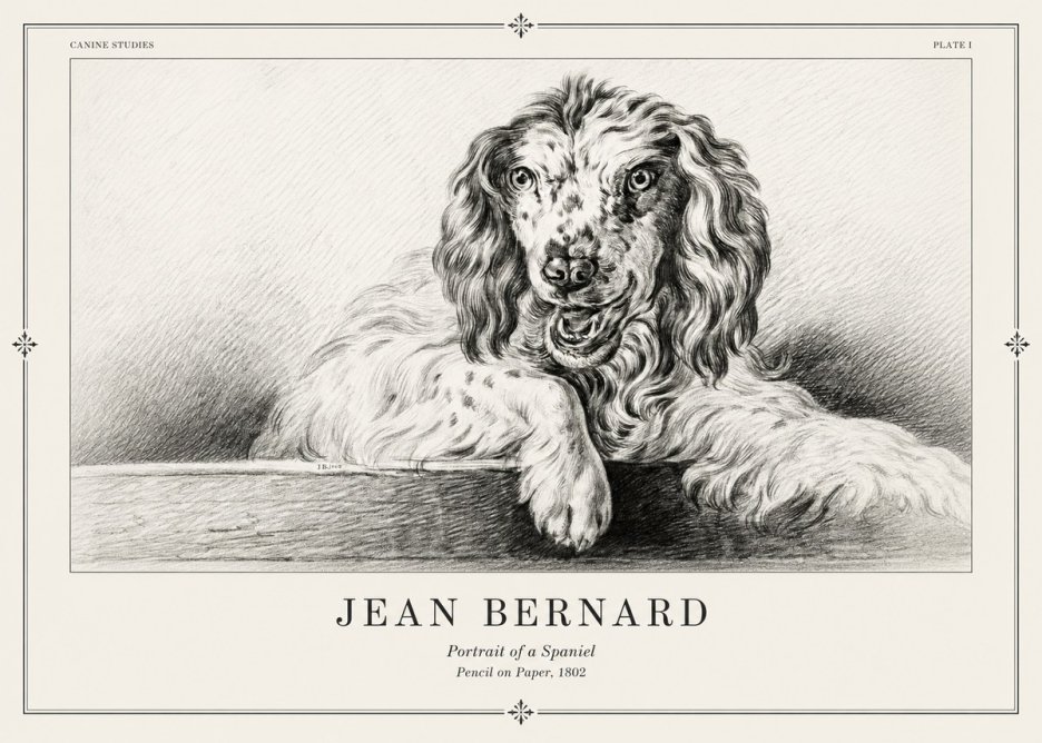 Jean Bernard Portrait of a Spaniel No2 - Affiche