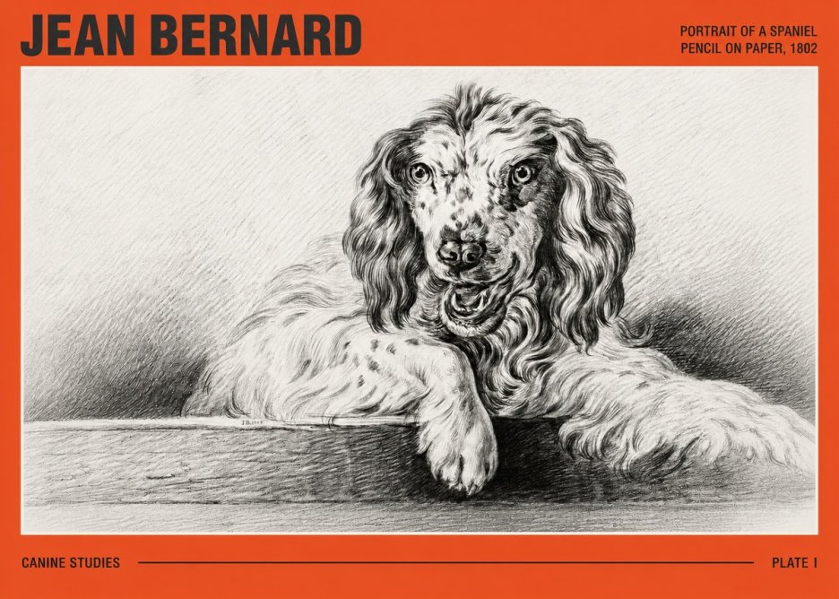 Jean Bernard Portrait of a Spaniel No3 - Affiche