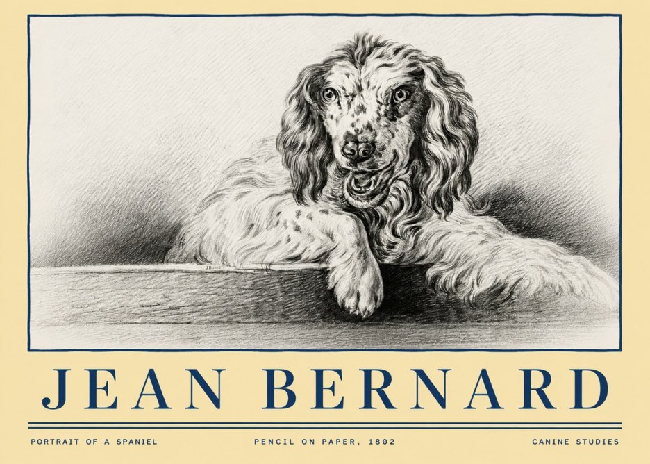 Jean Bernard Portrait of a Spaniel No4 - Affiche
