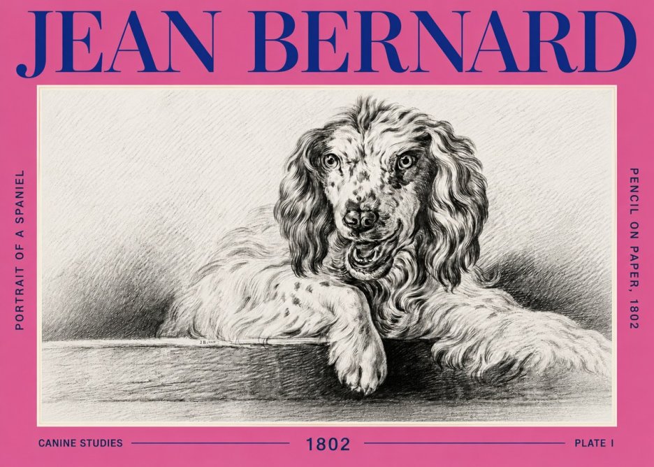 Jean Bernard Portrait of a Spaniel No6 - Affiche