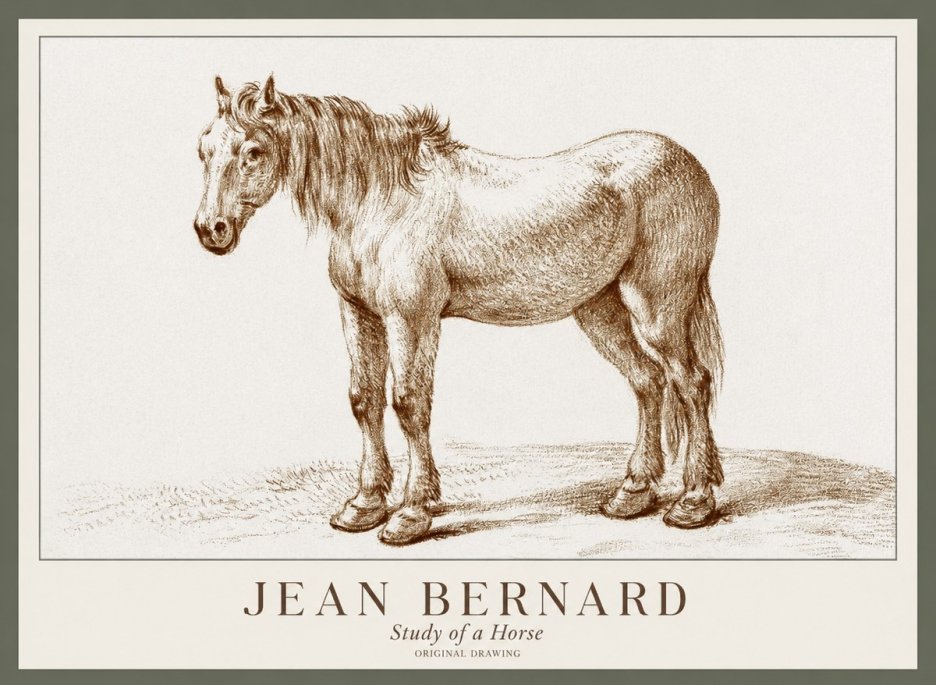 Jean Bernard Study of a Horse XIV No1 - Affiche