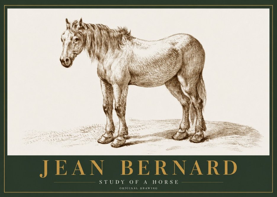 Jean Bernard Study of a Horse XIV No2 - Affiche