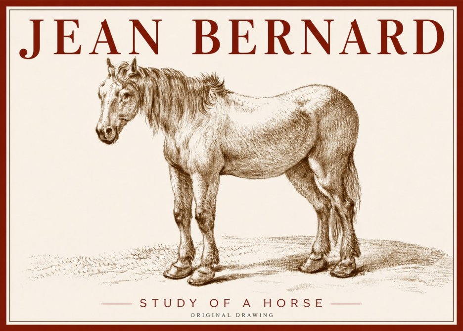Jean Bernard Study of a Horse XIV No4 - Affiche