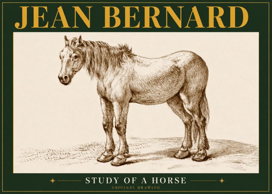 Jean Bernard Study of a Horse XIV No5 - Affiche