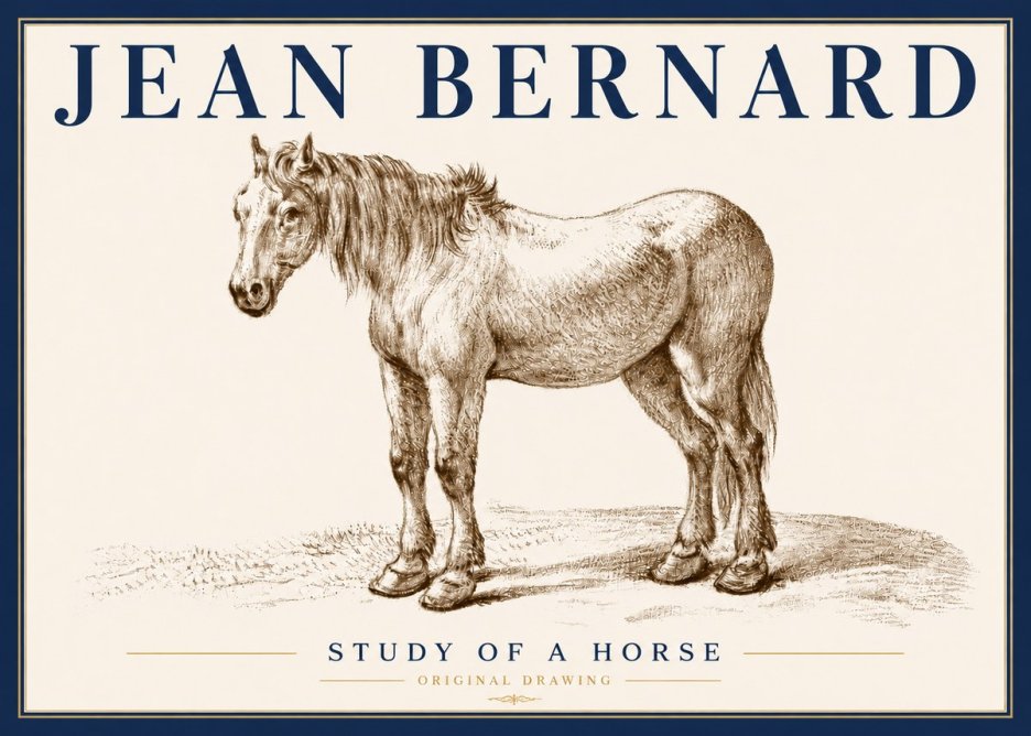 Jean Bernard Study of a Horse XIV No6 - Affiche