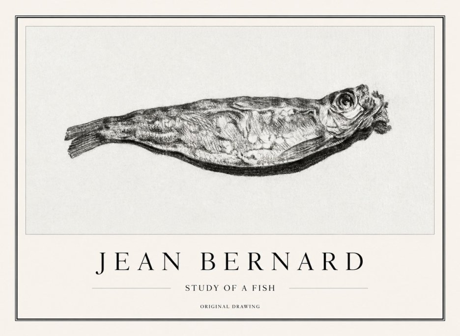 Jean Bernard Study of a Fish V No1 - Affiche