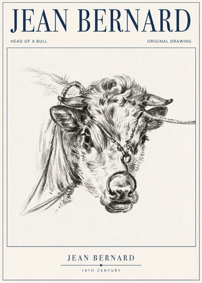Jean Bernard Head of a Bull No1 - Affiche