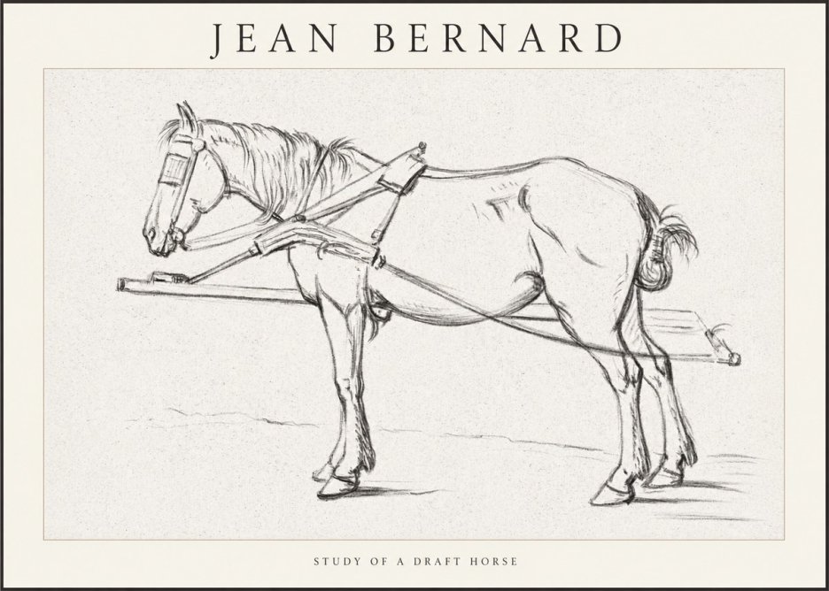 Jean Bernard Study of a Draft Horse II No1 - Affiche