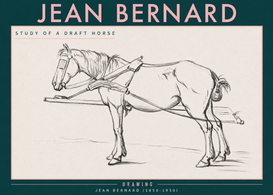 Jean Bernard Study of a Draft Horse II No3 - Affiche