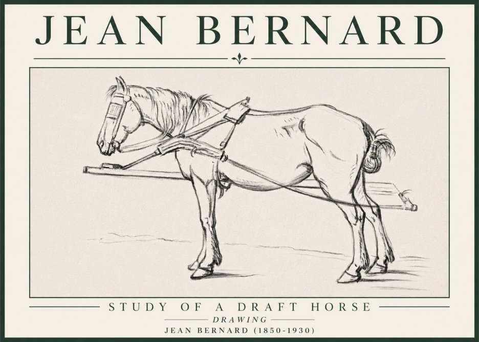 Jean Bernard Study of a Draft Horse II No4 - Affiche