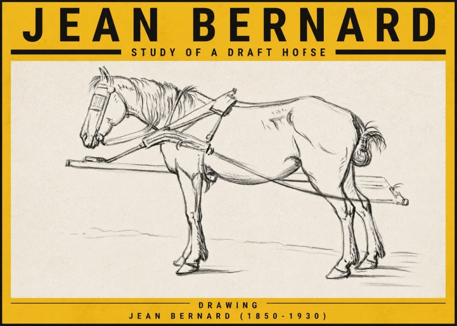 Jean Bernard Study of a Draft Horse II No5 - Affiche