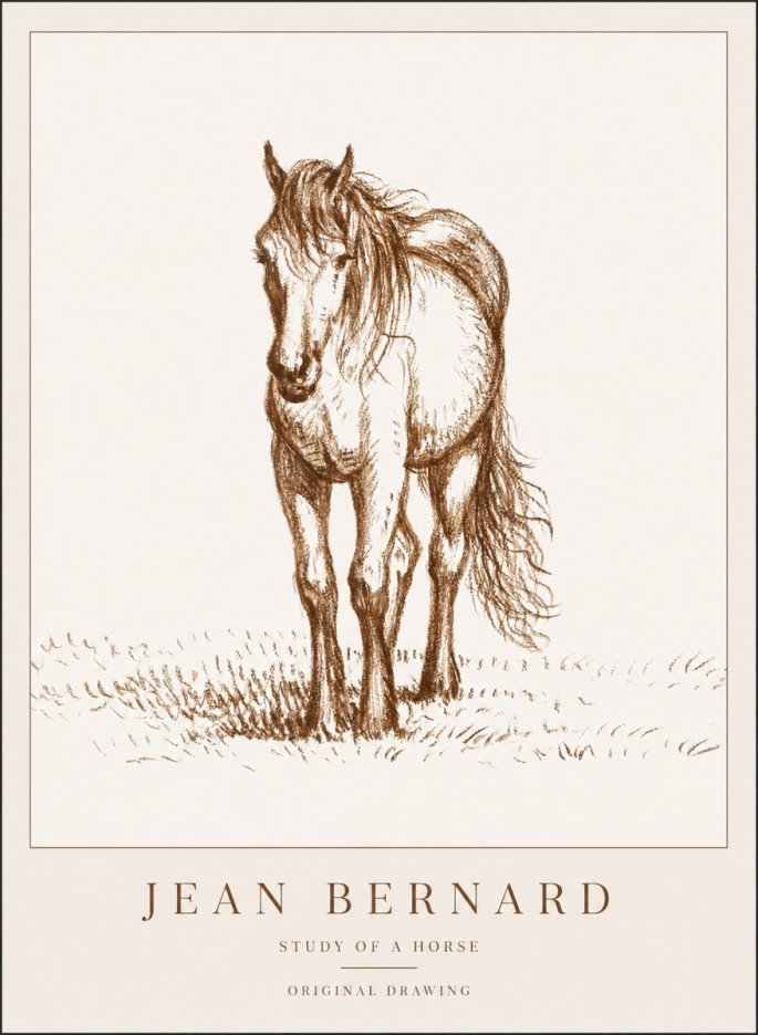 Jean Bernard Study of a Horse XV No1 - Affiche