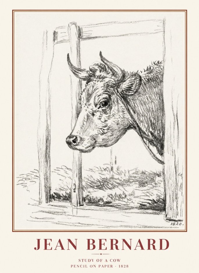 Jean Bernard Study of a Cow XVIII No1 - Affiche