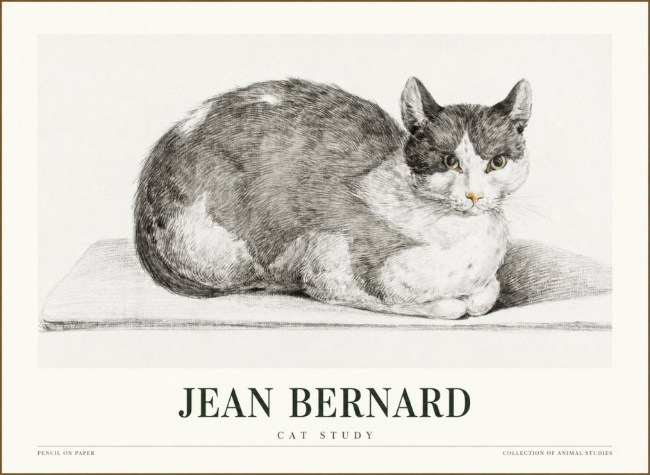 Jean Bernard Cat Study XI No1 - Affiche