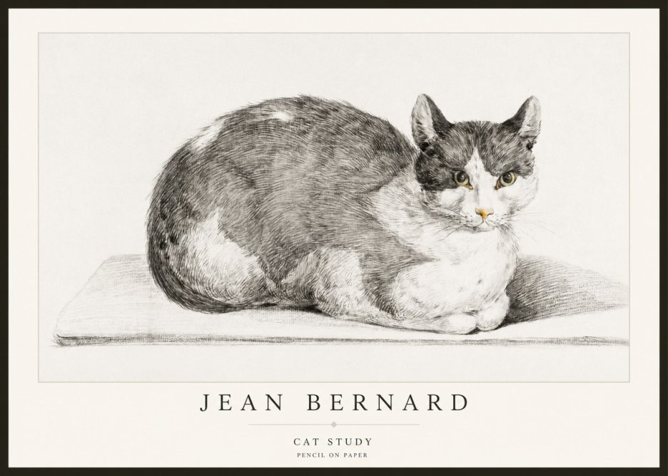 Jean Bernard Cat Study XI No2 - Affiche