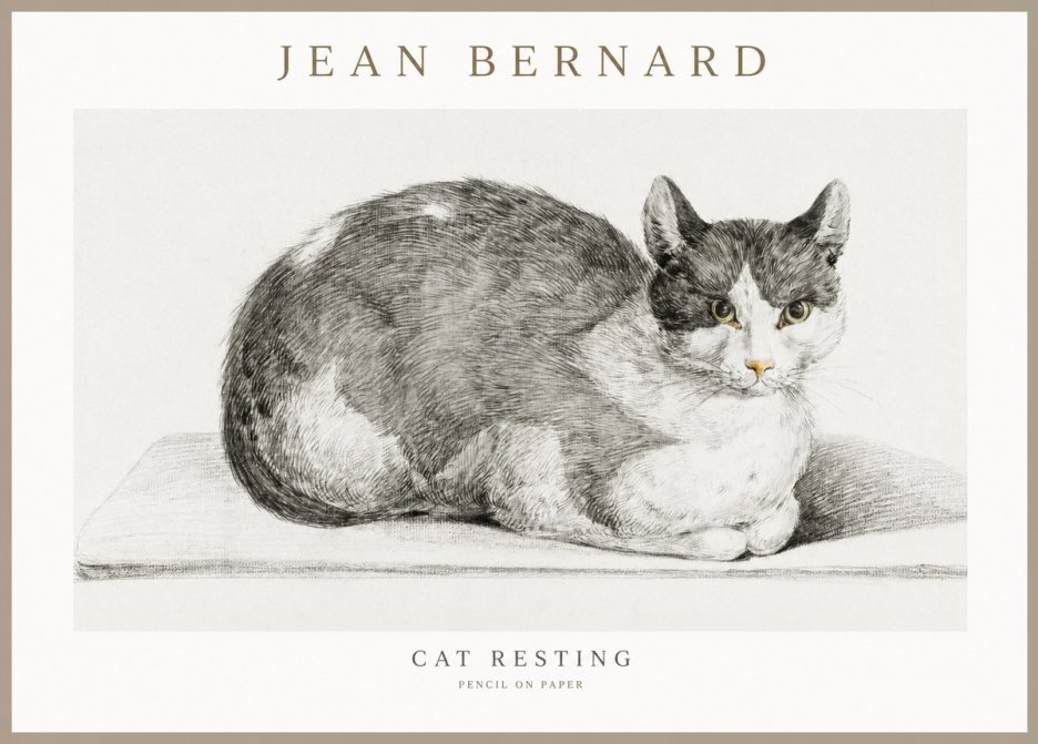 Jean Bernard Cat Study XI No3 - Affiche