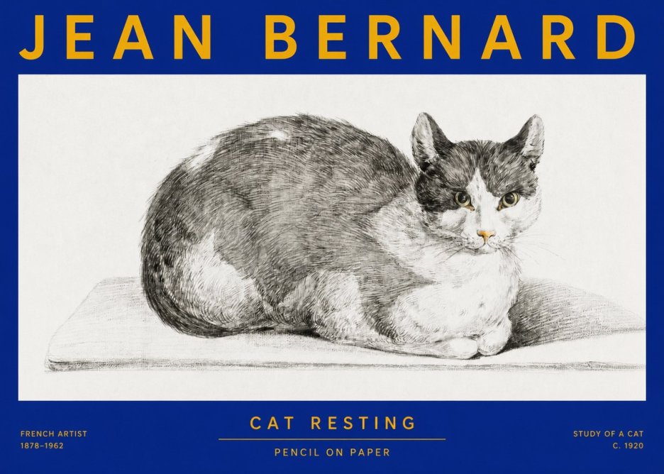 Jean Bernard Cat Study XI No4 - Affiche